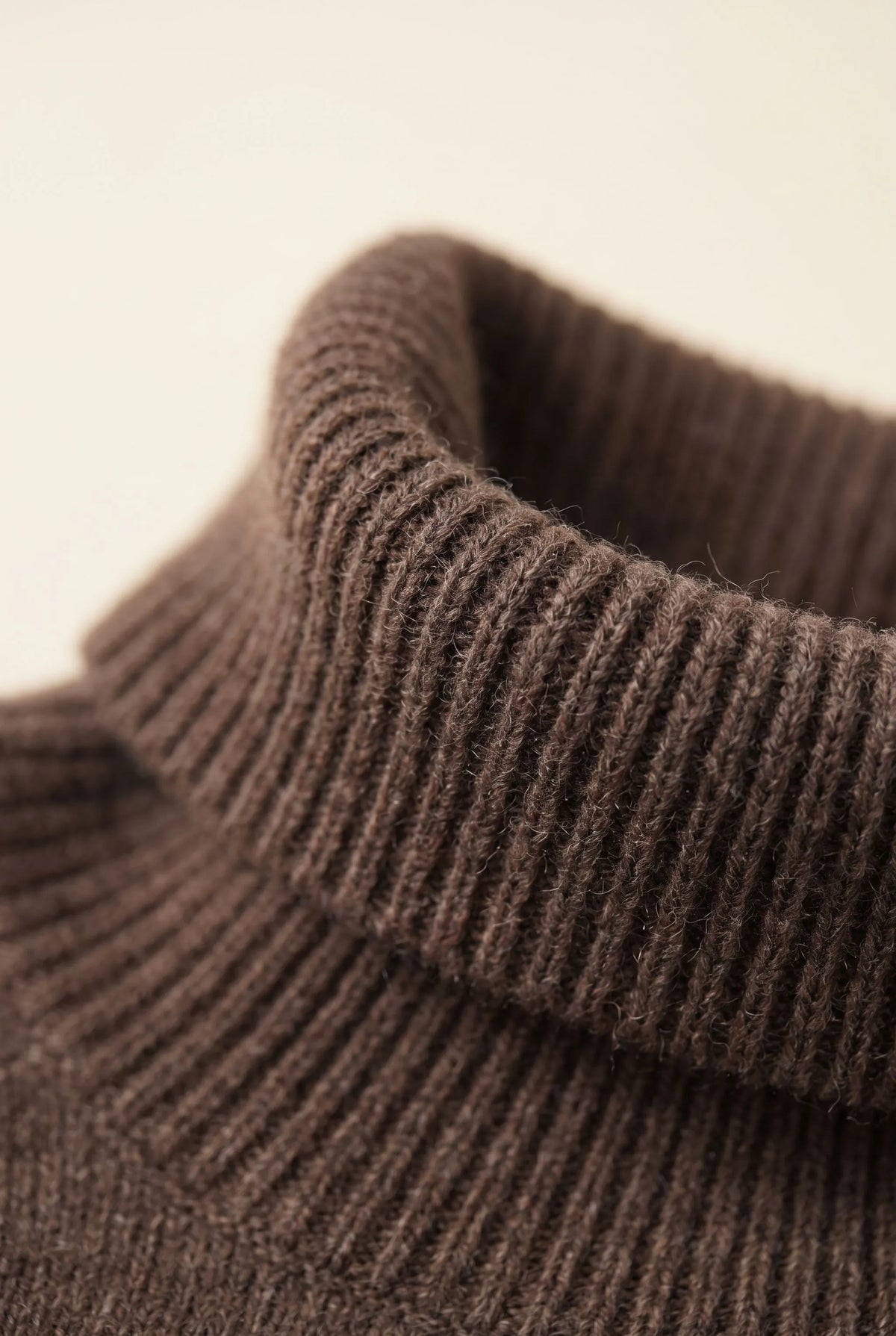 AutumnKnit | Klassischer Rollkragenpullover Für Damen
